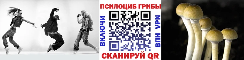 где найти наркотики  Комсомольск-на-Амуре  Галлюциногенные грибы MAGIC MUSHROOMS 